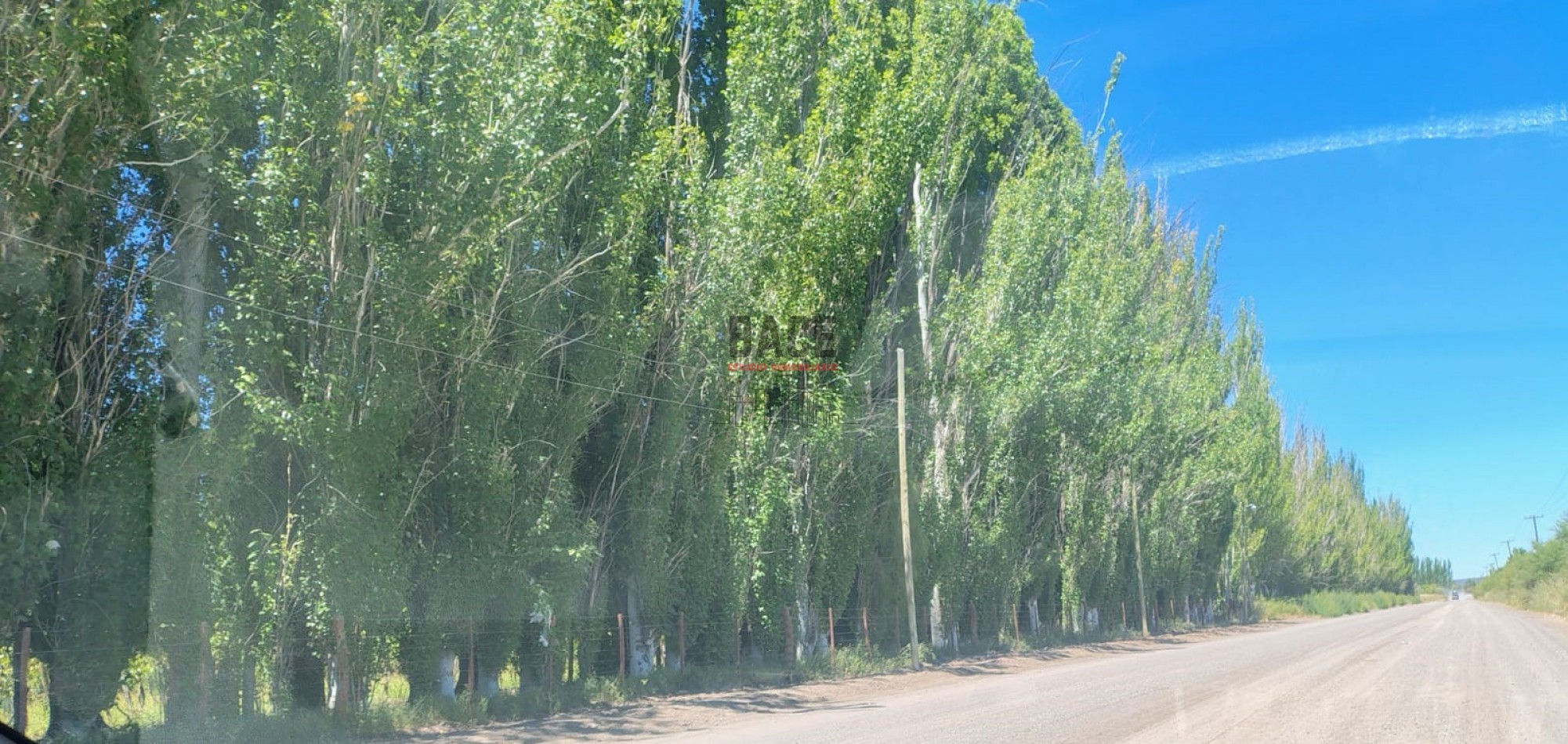 VENTA!! Inversion Asegurada: 30 Hectareas en Mainque con Todo el Potencial de Desarrollo - MAINQUE - ALTO VALLE DE RIO NEGRO