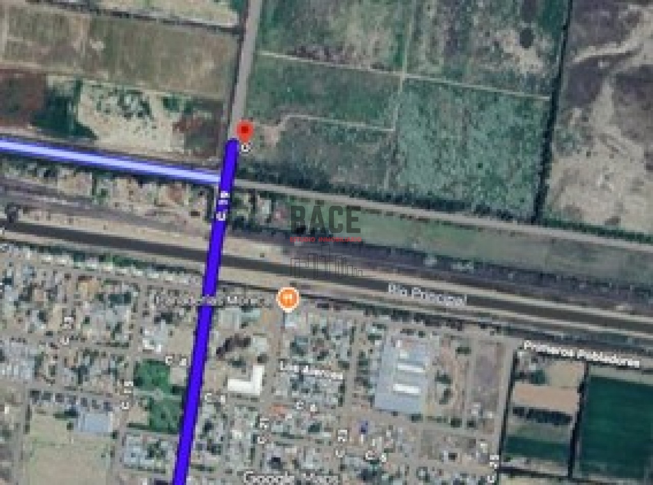 VENTA!! Inversion Asegurada: 30 Hectareas en Mainque con Todo el Potencial de Desarrollo - MAINQUE - ALTO VALLE DE RIO NEGRO