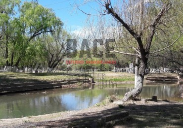 VENTA!! Inversion Asegurada: 30 Hectareas en Mainque con Todo el Potencial de Desarrollo - MAINQUE - ALTO VALLE DE RIO NEGRO